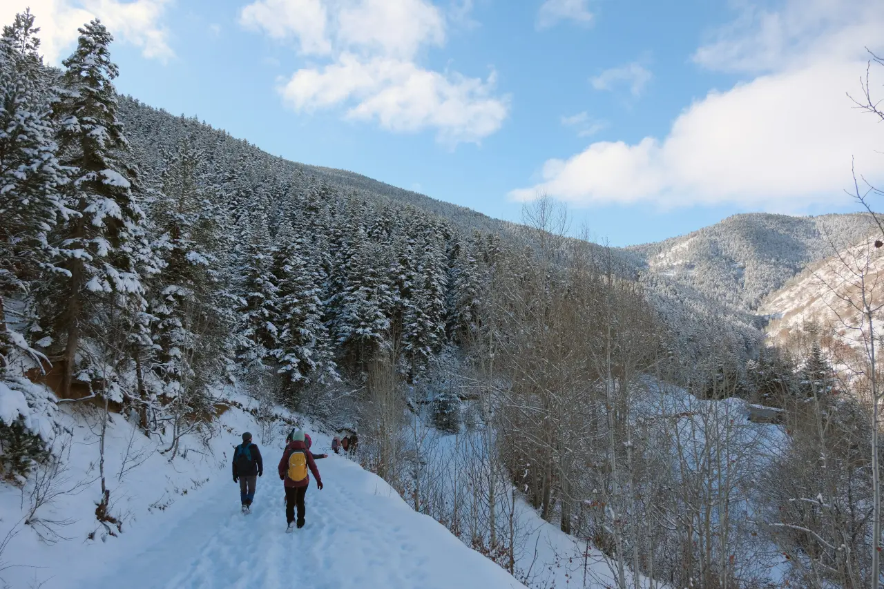 Gümüşhane’de kış masalı: 2 bin metre yükseklikte muhteşem görüntüler 12