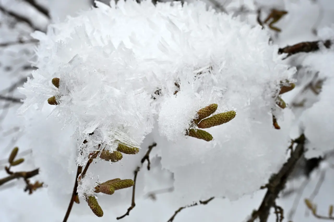 'Manzara On Numara!' Gümüşhane’de Şehrin Gürültüsünden Kaçanlar Torul’un Zirvesinde Buluştu! 24
