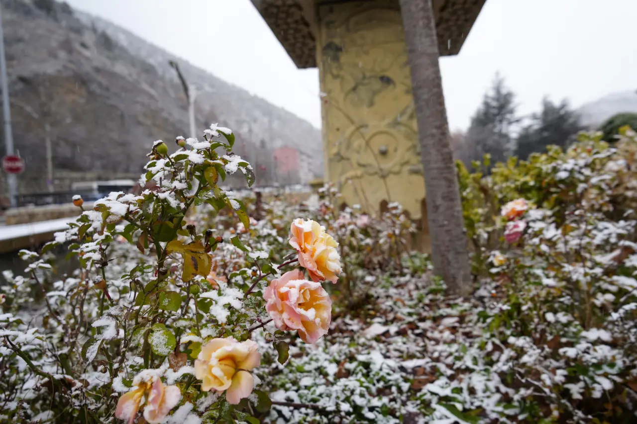 Gümüşhane kent merkezine mevsimin ilk karı yağdı 3