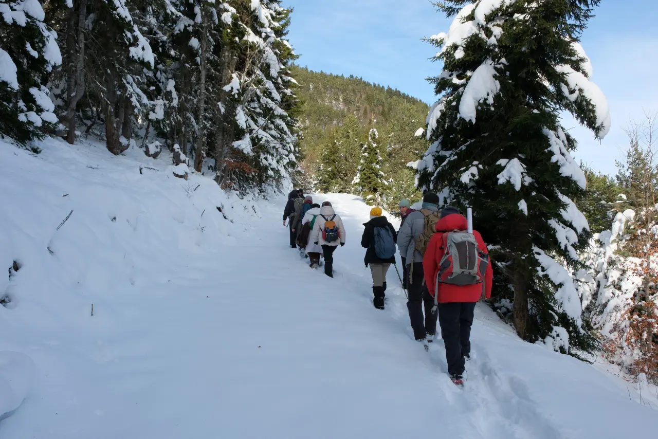 'Manzara On Numara!' Gümüşhane’de Şehrin Gürültüsünden Kaçanlar Torul’un Zirvesinde Buluştu! 5