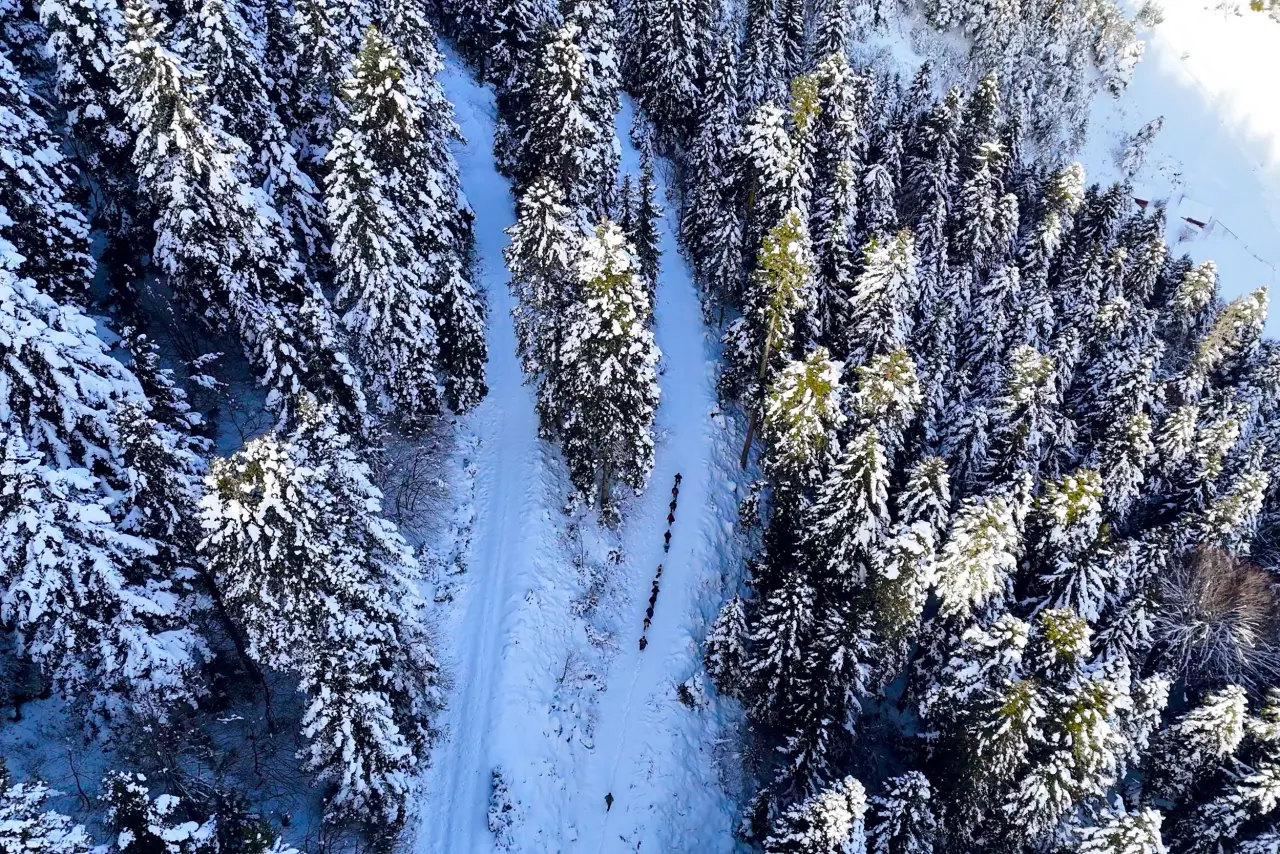 'Manzara On Numara!' Gümüşhane’de Şehrin Gürültüsünden Kaçanlar Torul’un Zirvesinde Buluştu! 30