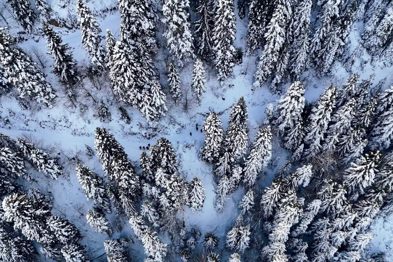 'Manzara On Numara!' Gümüşhane’de Şehrin Gürültüsünden Kaçanlar Torul’un Zirvesinde Buluştu! 27