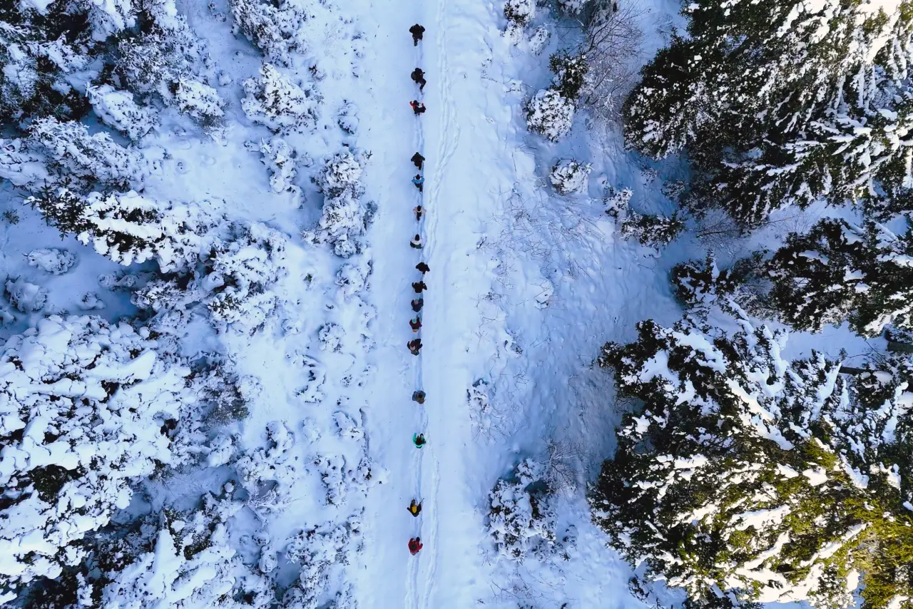 'Manzara On Numara!' Gümüşhane’de Şehrin Gürültüsünden Kaçanlar Torul’un Zirvesinde Buluştu! 28