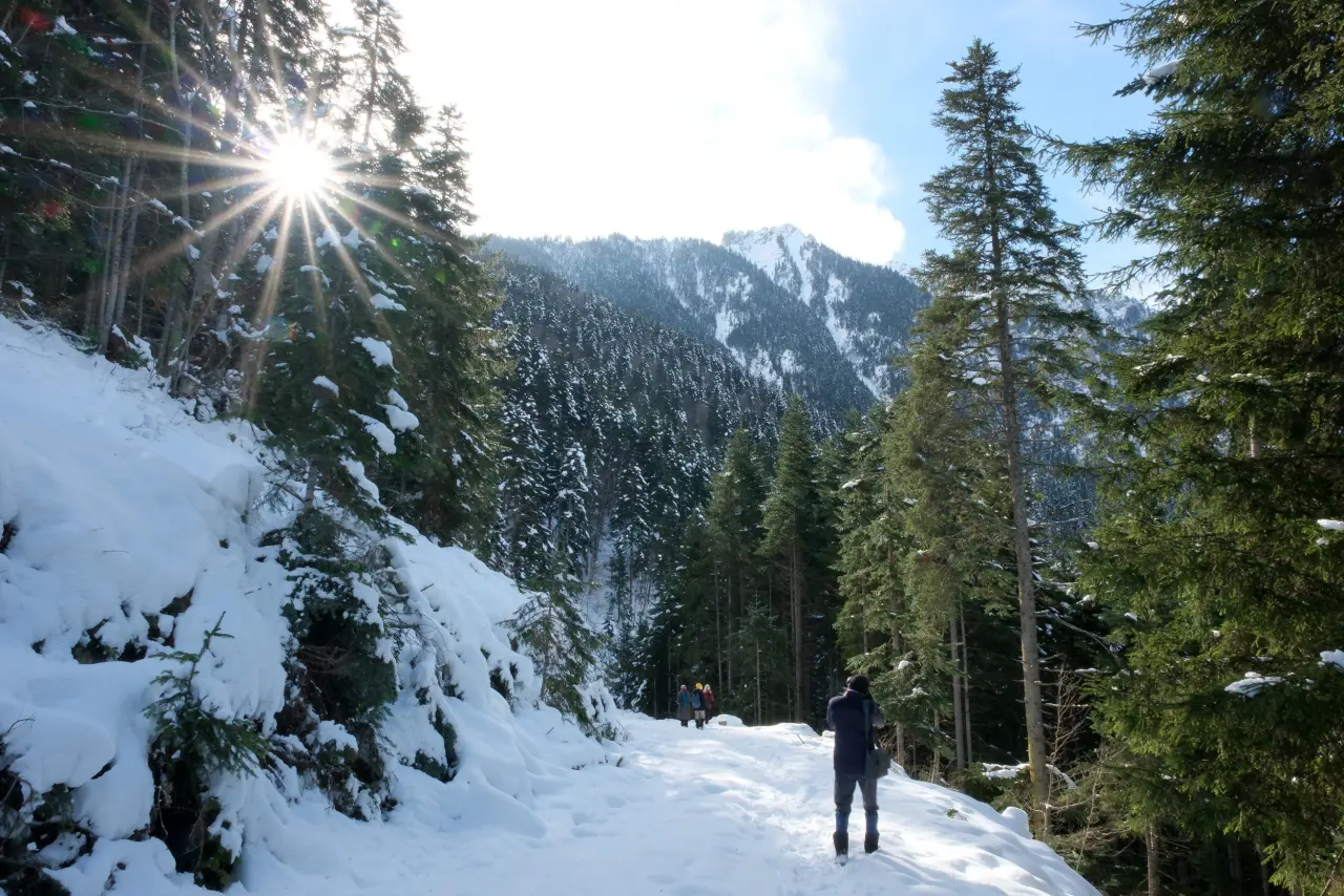 'Manzara On Numara!' Gümüşhane’de Şehrin Gürültüsünden Kaçanlar Torul’un Zirvesinde Buluştu! 10