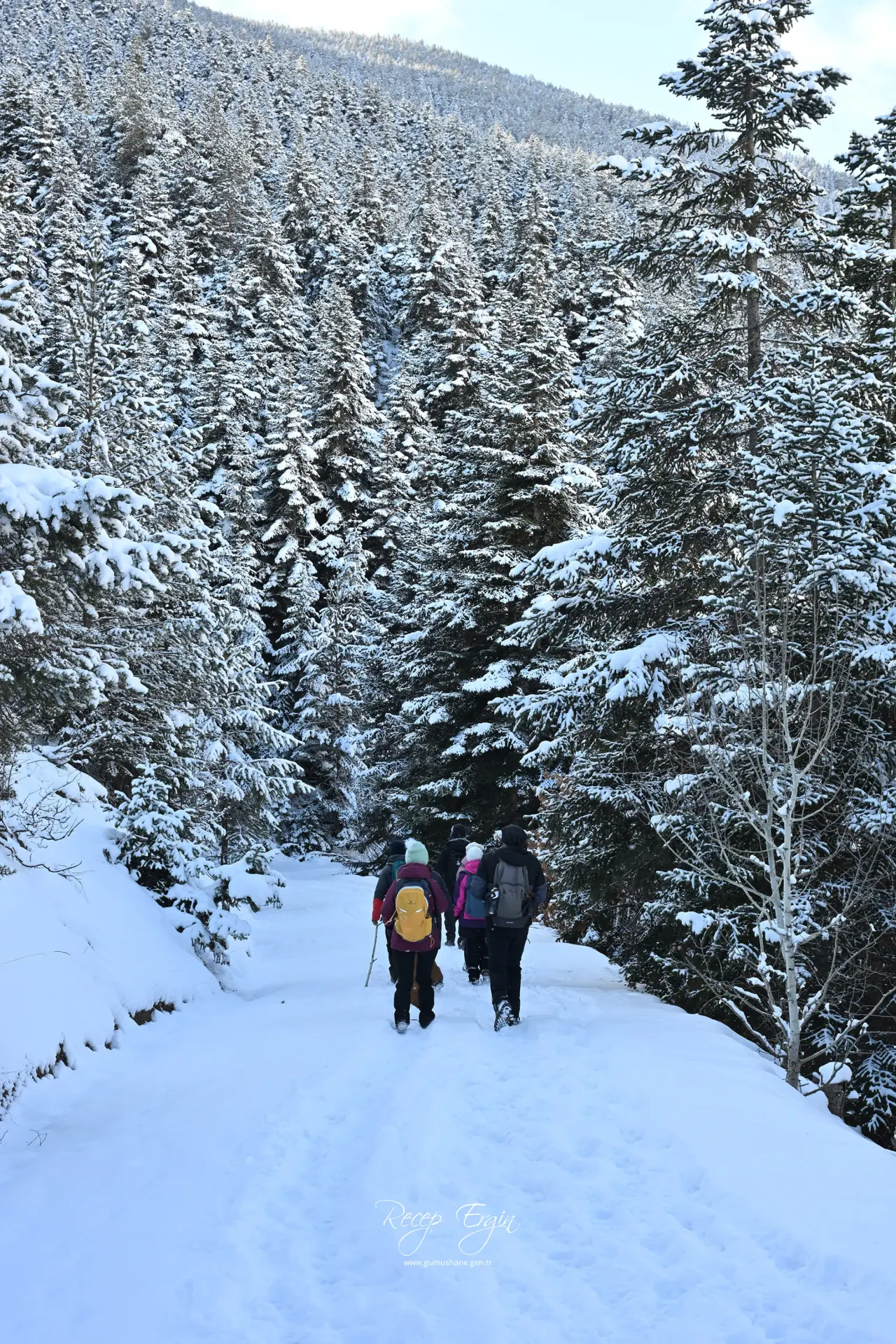 Gümüşhane’de kış masalı: 2 bin metre yükseklikte muhteşem görüntüler 20