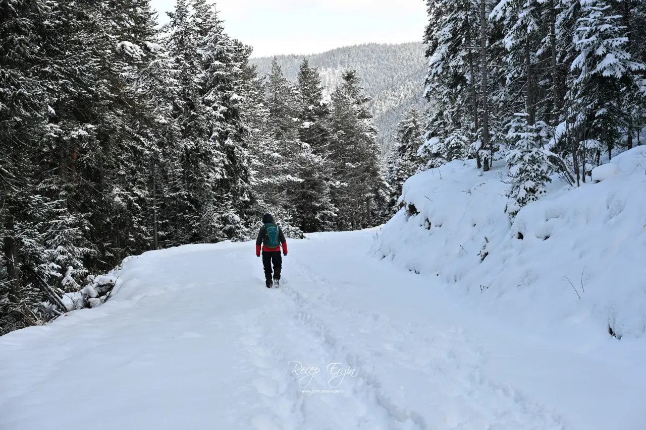 Gümüşhane’de kış masalı: 2 bin metre yükseklikte muhteşem görüntüler 17