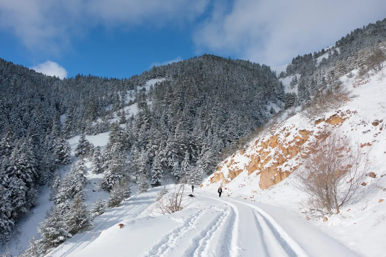 Gümüşhane’de kış masalı: 2 bin metre yükseklikte muhteşem görüntüler 5