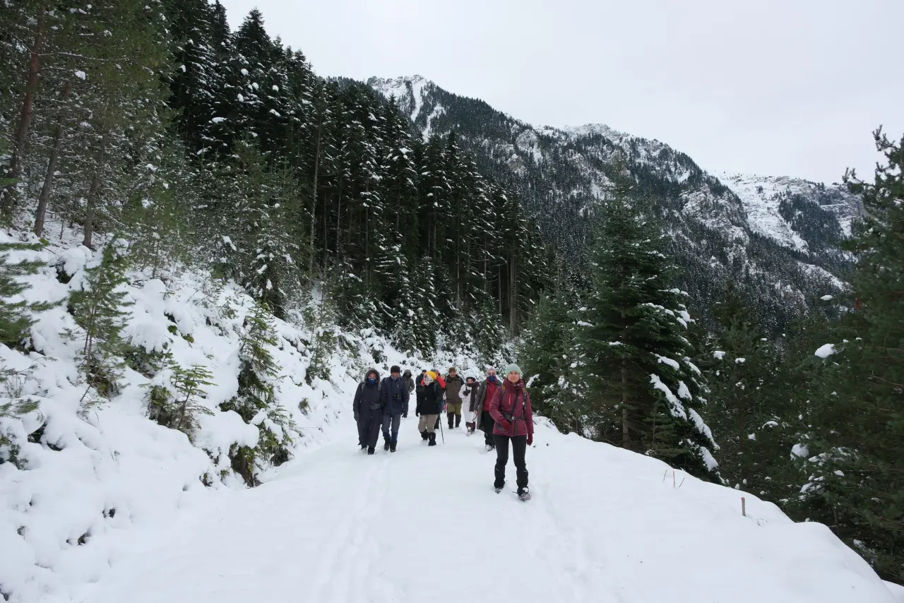'Manzara On Numara!' Gümüşhane’de Şehrin Gürültüsünden Kaçanlar Torul’un Zirvesinde Buluştu! 11