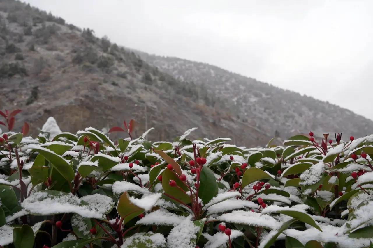 Gümüşhane kent merkezine mevsimin ilk karı yağdı 5