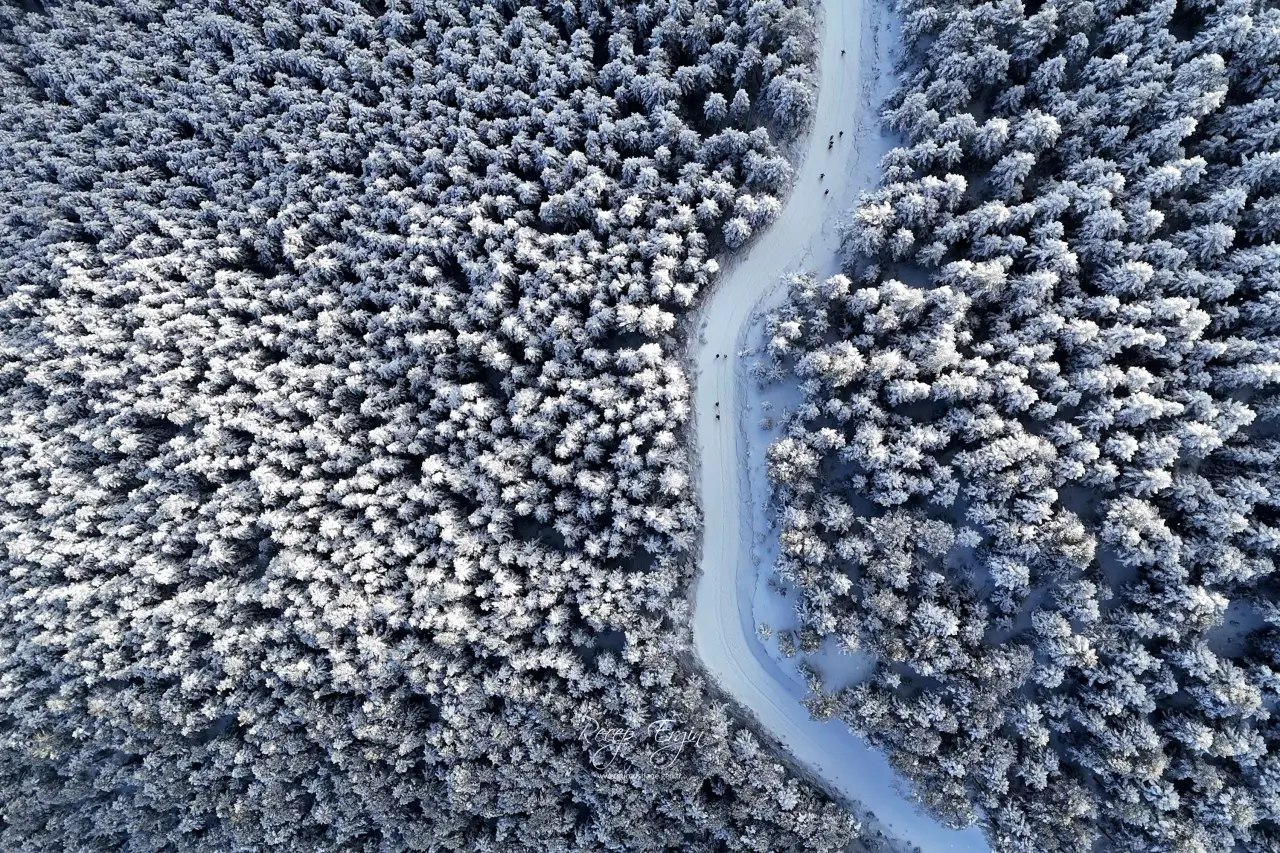 Gümüşhane’de kış masalı: 2 bin metre yükseklikte muhteşem görüntüler 42