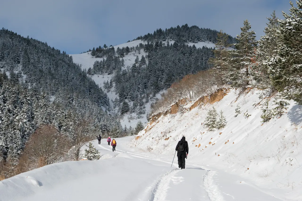 Gümüşhane’de kış masalı: 2 bin metre yükseklikte muhteşem görüntüler 4