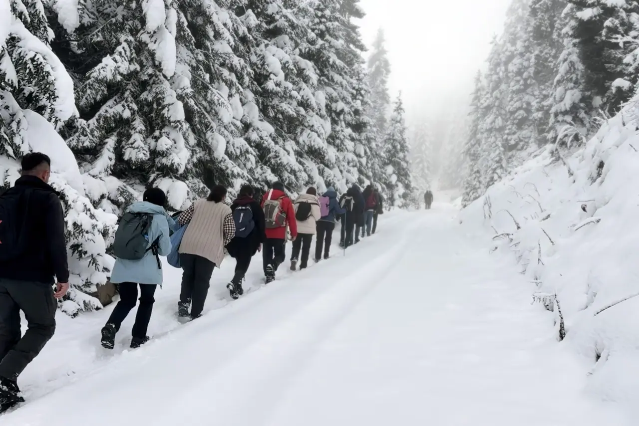 Gümüşhane’de kartpostallık doğa yürüyüşü 23