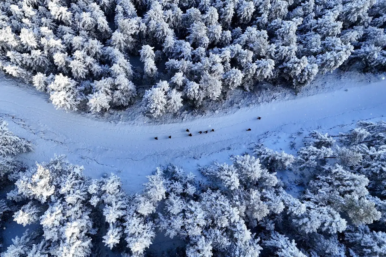 Gümüşhane’de kış masalı: 2 bin metre yükseklikte muhteşem görüntüler 40