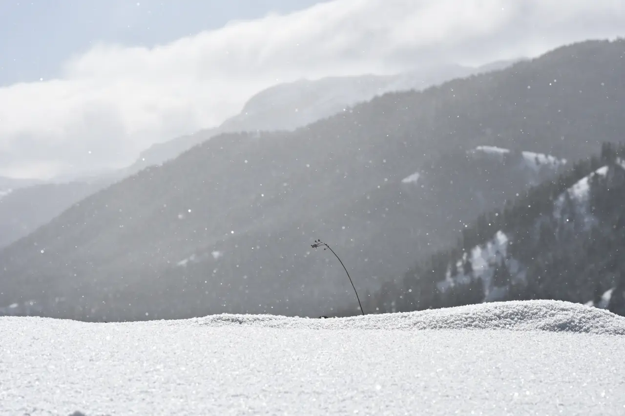 Gümüşhane’de kış masalı: 2 bin metre yükseklikte muhteşem görüntüler 14