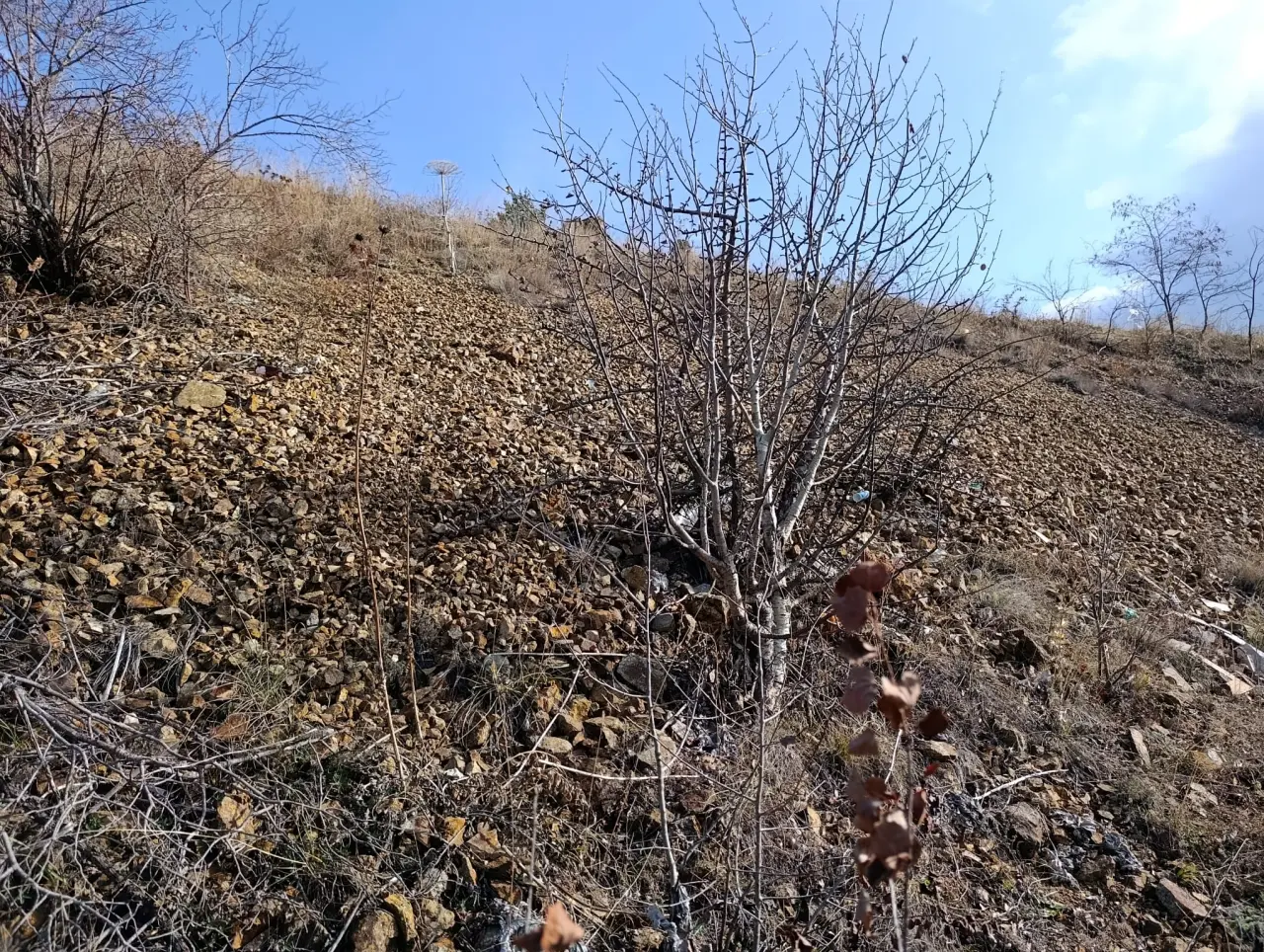 Gümüşhane’de örnek çevre seferberliği: Yaydemir köyünde gençler 20 hektarlık alanda çöp topladı 17