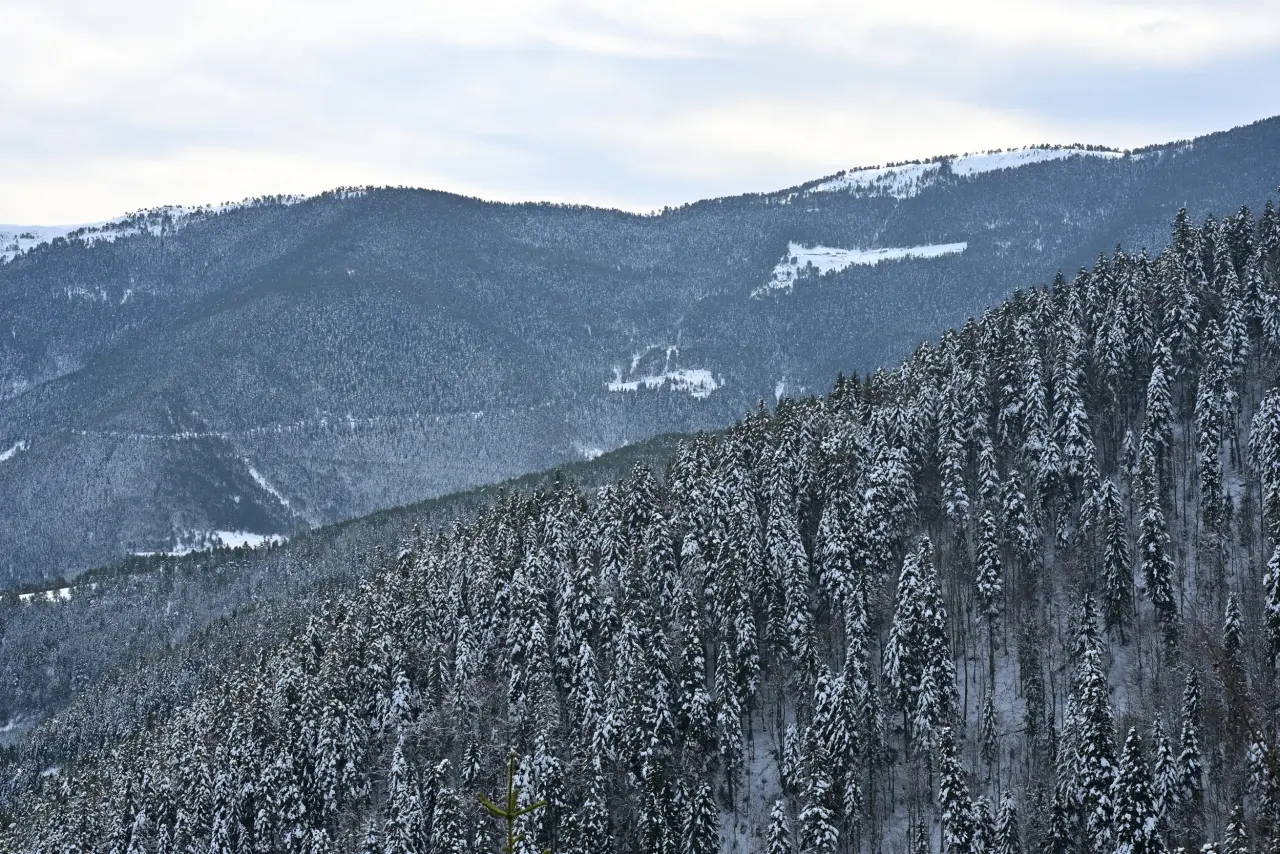 'Manzara On Numara!' Gümüşhane’de Şehrin Gürültüsünden Kaçanlar Torul’un Zirvesinde Buluştu! 19