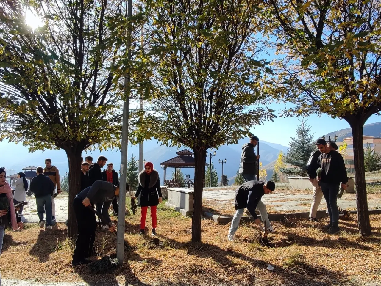 Gümüşhane Üniversitesi kampüsü lavanta kokacak 1