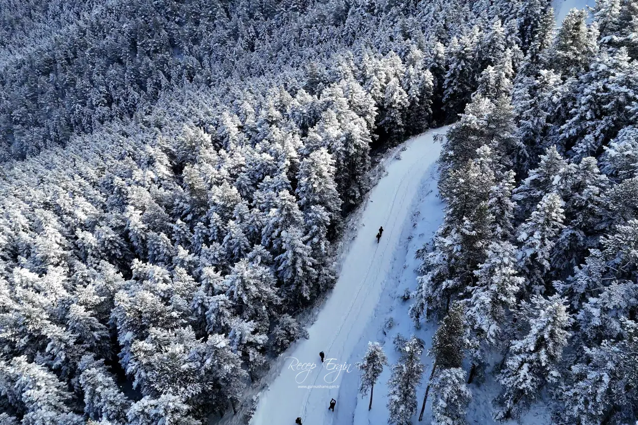 Gümüşhane’de kış masalı: 2 bin metre yükseklikte muhteşem görüntüler 41