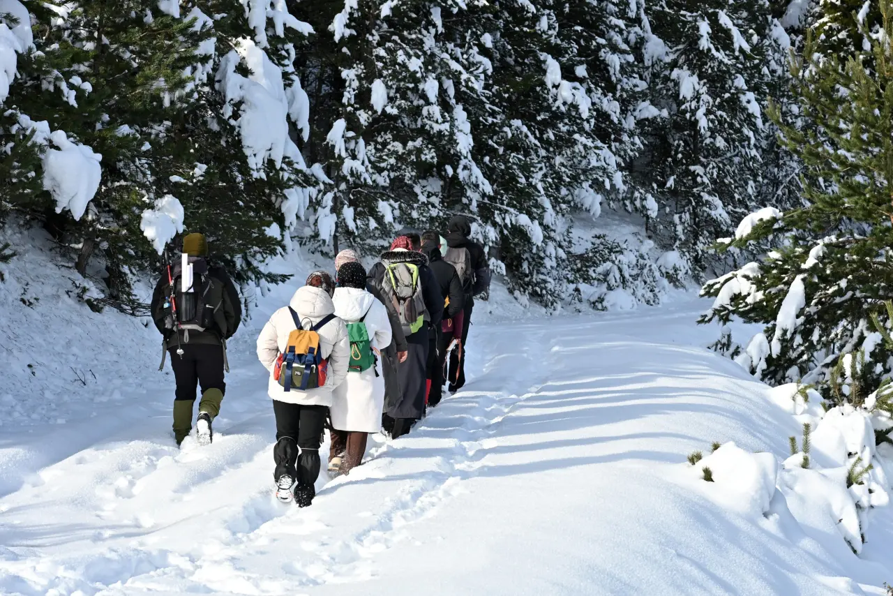 'Manzara On Numara!' Gümüşhane’de Şehrin Gürültüsünden Kaçanlar Torul’un Zirvesinde Buluştu! 15