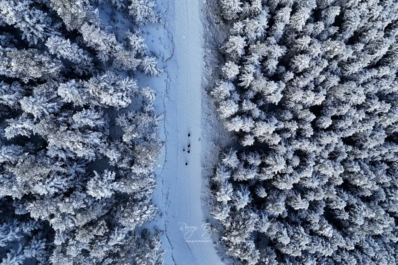 Gümüşhane’de kış masalı: 2 bin metre yükseklikte muhteşem görüntüler 44
