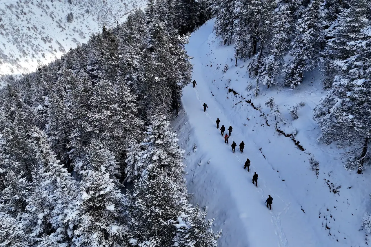 Gümüşhane’de kış masalı: 2 bin metre yükseklikte muhteşem görüntüler 34