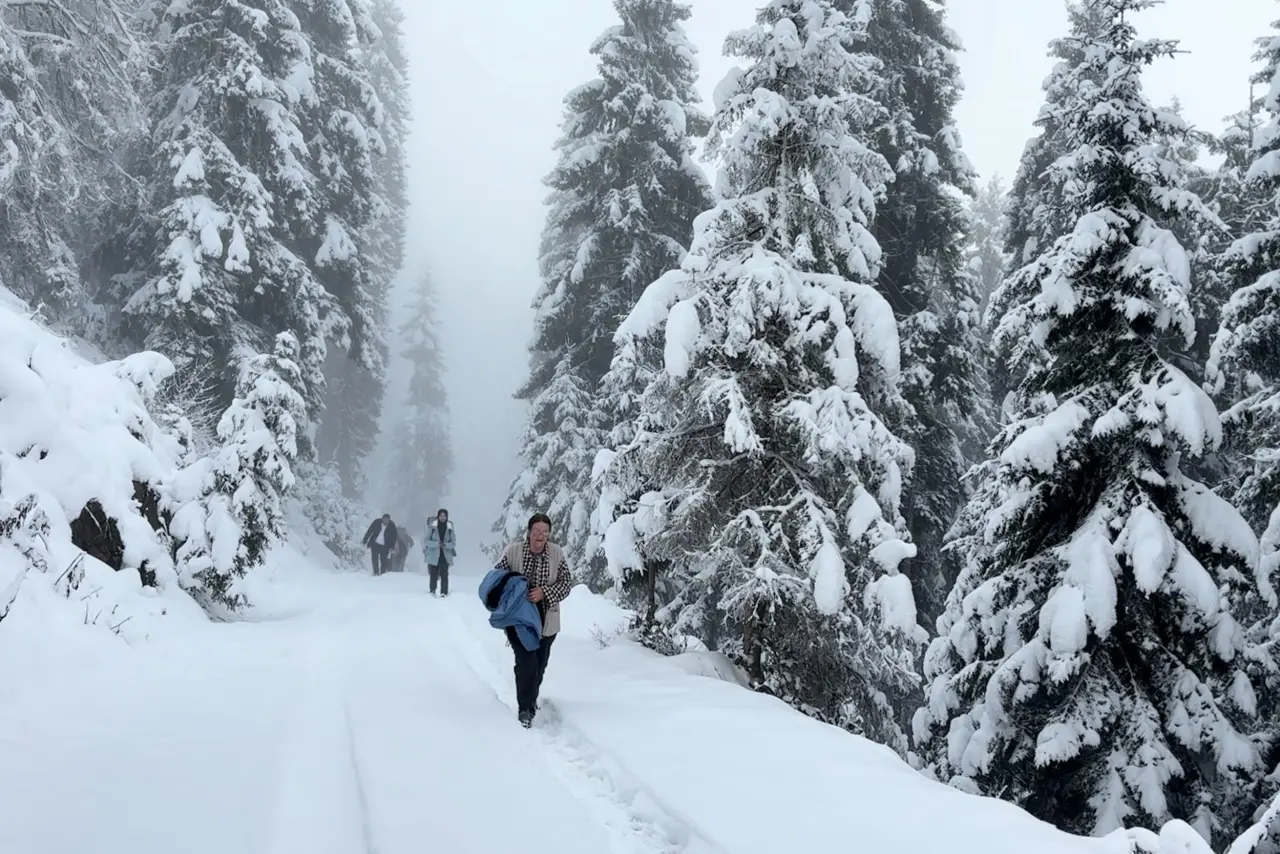 Gümüşhane’de kartpostallık doğa yürüyüşü 22