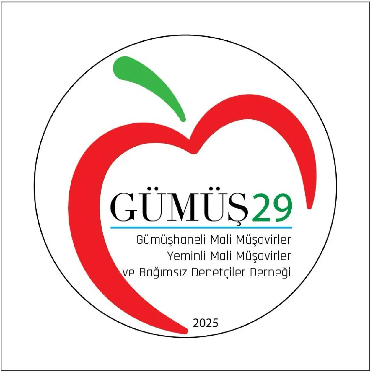 İstanbul’daki Gümüşhaneli Mali Müşavirler Kurumsal Bir Çatı Altında Toplandı: Gümüş29 Derneği Kuruldu 4