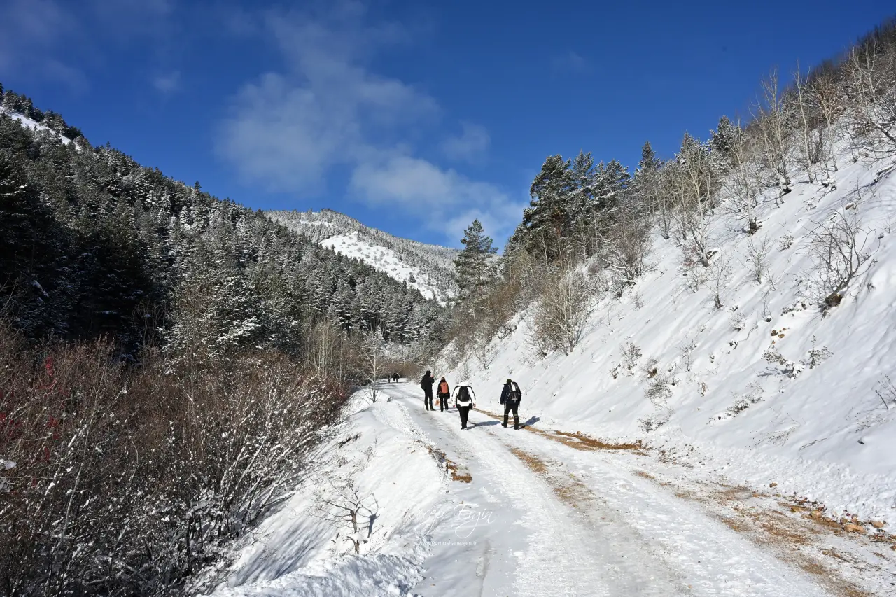 Gümüşhane’de kış masalı: 2 bin metre yükseklikte muhteşem görüntüler 13
