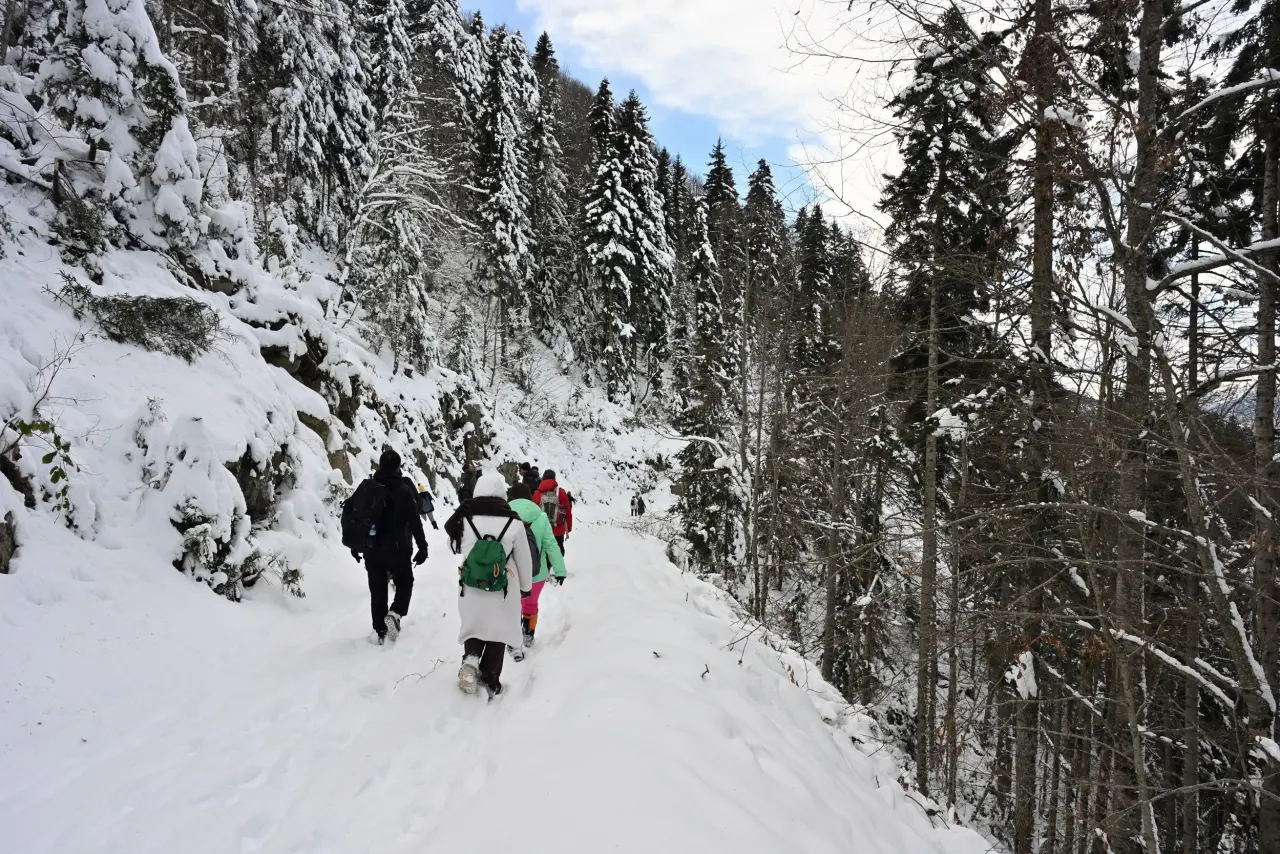 'Manzara On Numara!' Gümüşhane’de Şehrin Gürültüsünden Kaçanlar Torul’un Zirvesinde Buluştu! 20