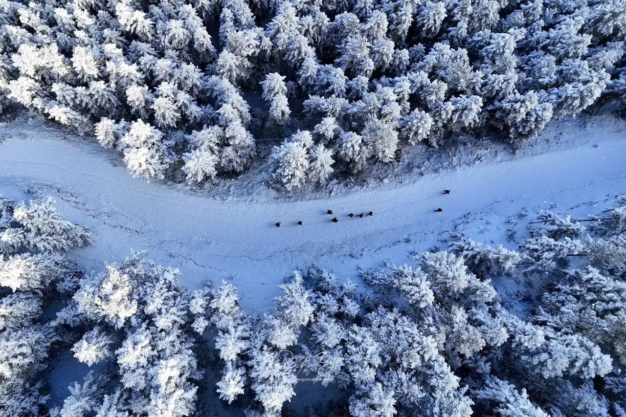 Gümüşhane’de kış masalı: 2 bin metre yükseklikte muhteşem görüntüler 37