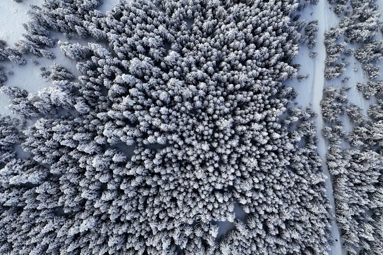 Görenler Dönüp Bir Daha Bakıyor! Tersun Dağı’nda Kartpostallık Görüntüler 15