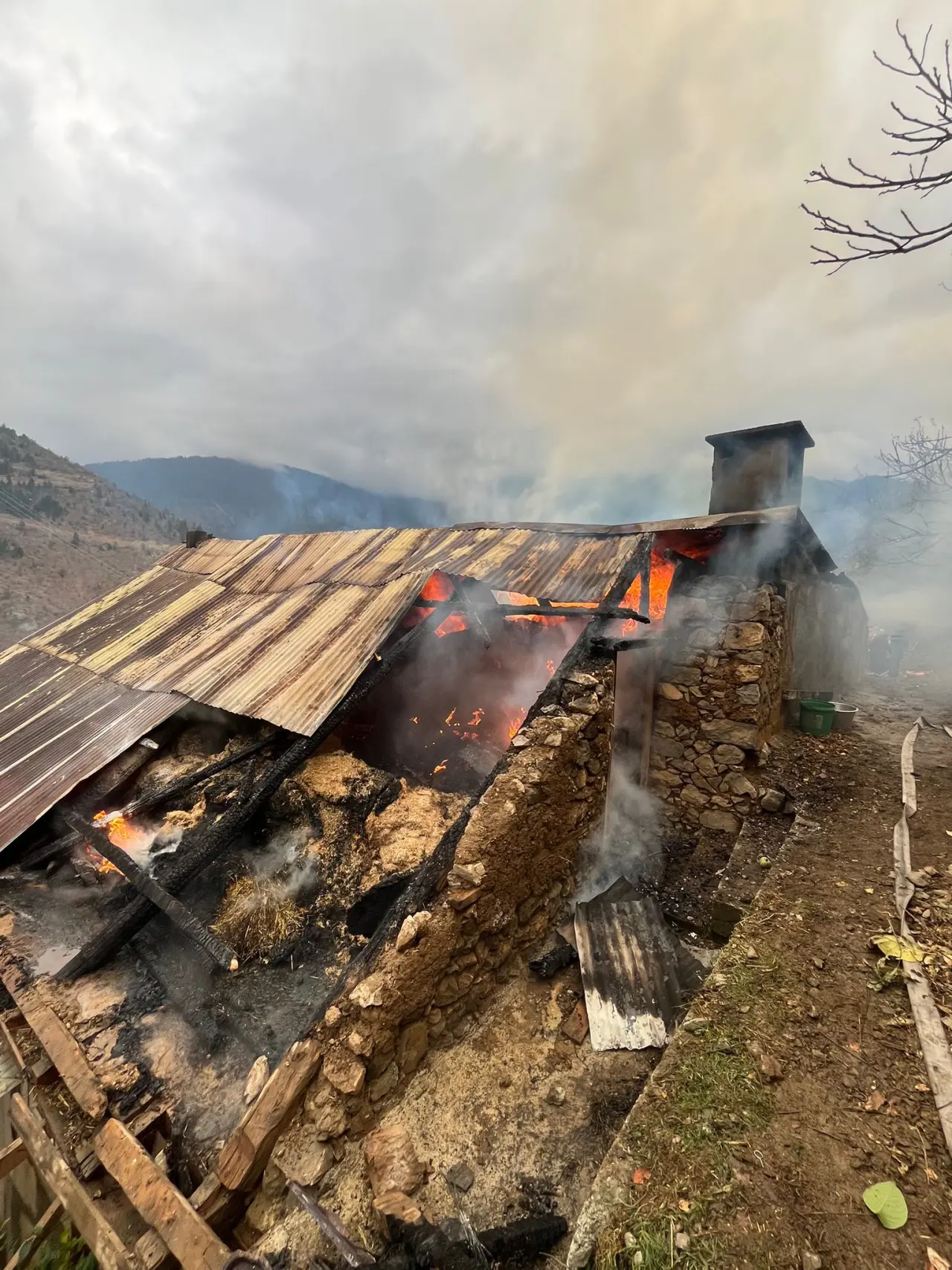 Üniversite Öğrencileri Özkürtün’deki yangına hızır gibi yetişti 3