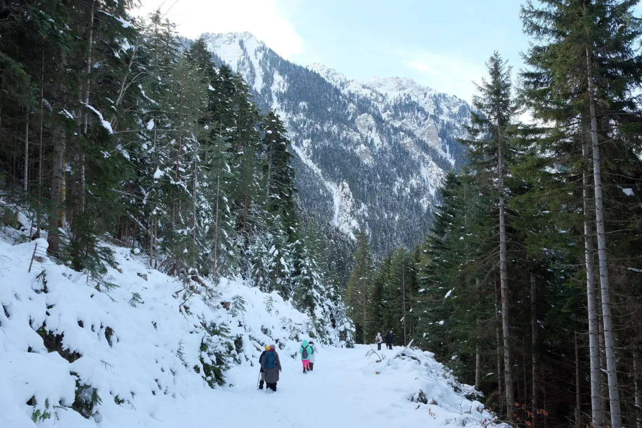 'Manzara On Numara!' Gümüşhane’de Şehrin Gürültüsünden Kaçanlar Torul’un Zirvesinde Buluştu! 9