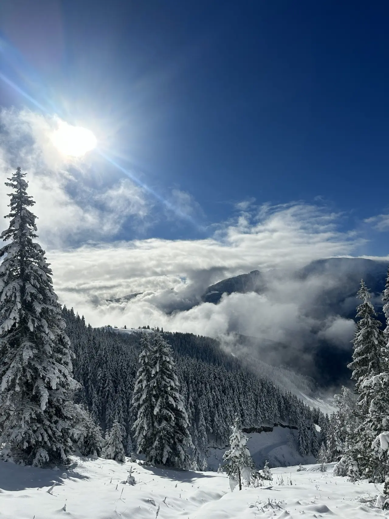 Gümüşhane’de kartpostallık doğa yürüyüşü 14
