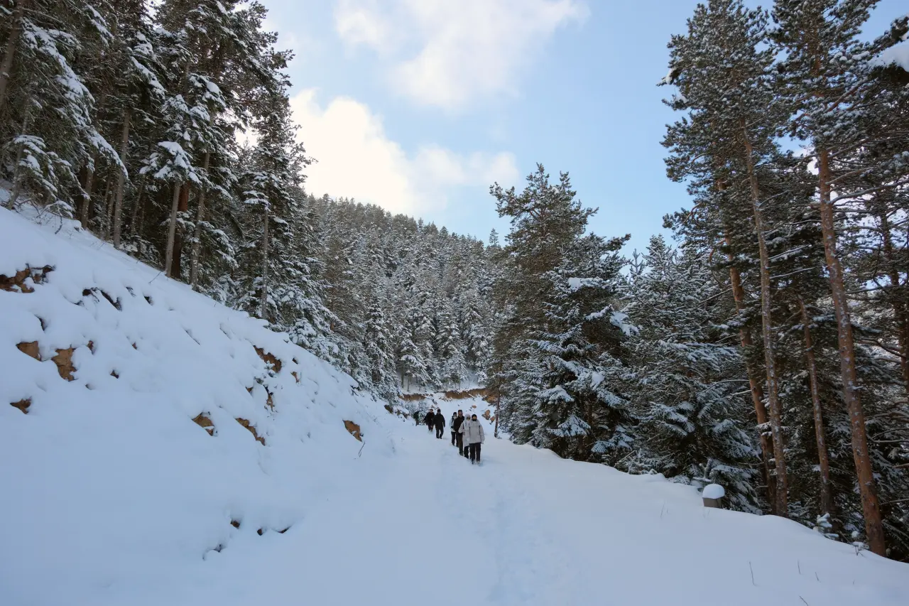 Gümüşhane’de kış masalı: 2 bin metre yükseklikte muhteşem görüntüler 10