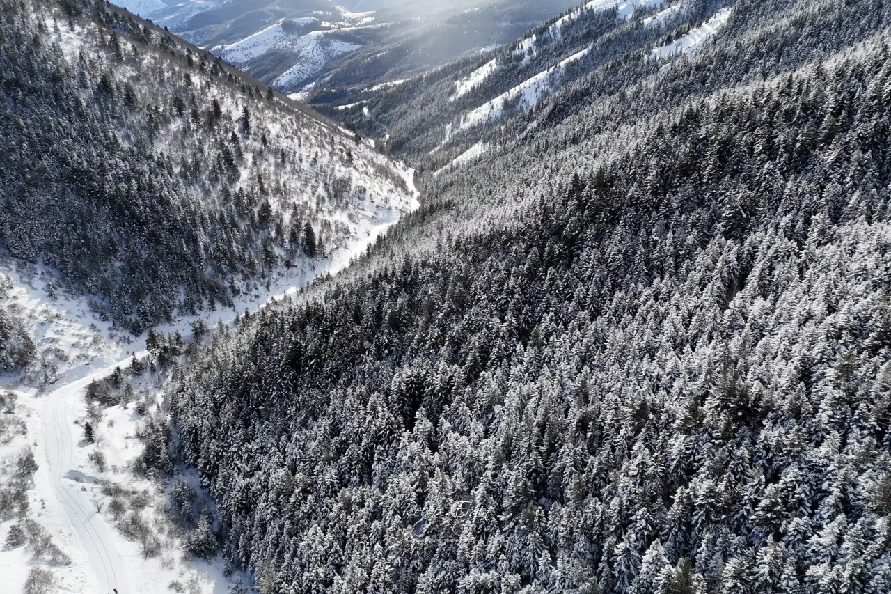 Gümüşhane’de kış masalı: 2 bin metre yükseklikte muhteşem görüntüler 23