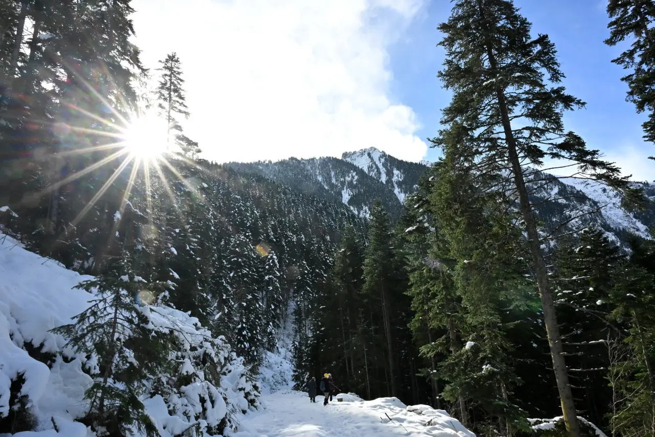 'Manzara On Numara!' Gümüşhane’de Şehrin Gürültüsünden Kaçanlar Torul’un Zirvesinde Buluştu! 21