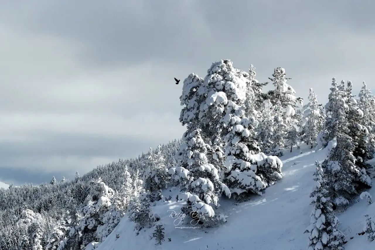 Görenler Dönüp Bir Daha Bakıyor! Tersun Dağı’nda Kartpostallık Görüntüler 9