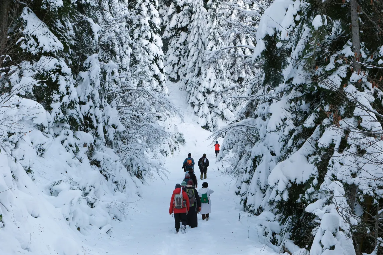 'Manzara On Numara!' Gümüşhane’de Şehrin Gürültüsünden Kaçanlar Torul’un Zirvesinde Buluştu! 8