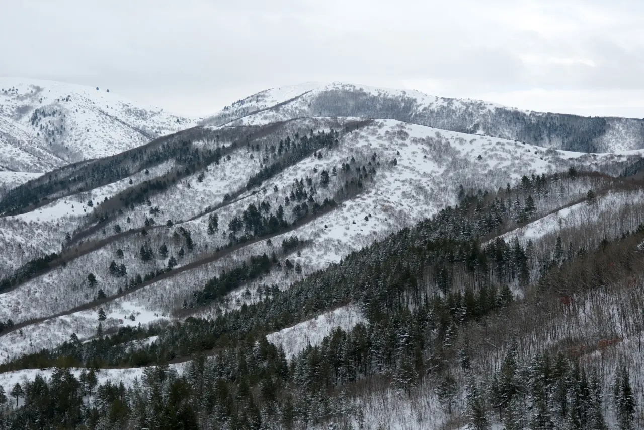 Beyaz huzurun adresi Gümüşhane! 15