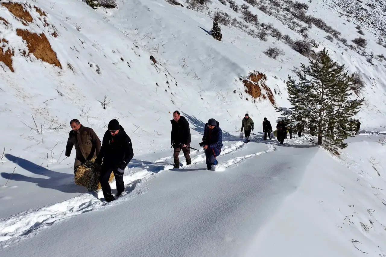 Gümüşhane’de aç kalan yaban hayvanları için seferberlik 42