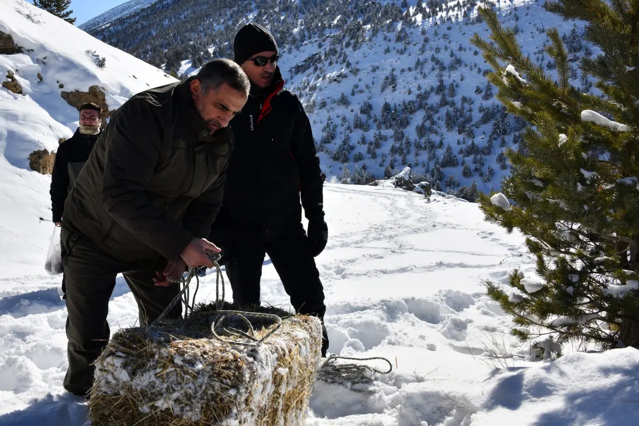 Gümüşhane’de aç kalan yaban hayvanları için seferberlik 16