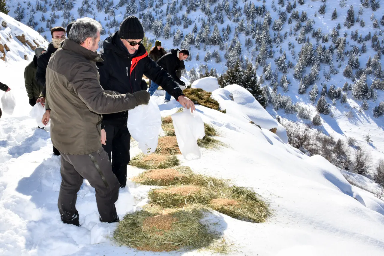 Gümüşhane’de aç kalan yaban hayvanları için seferberlik 19