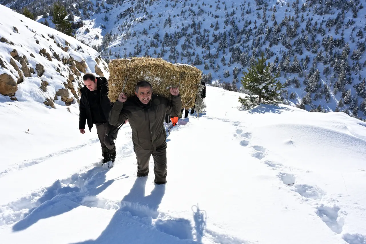 Gümüşhane’de aç kalan yaban hayvanları için seferberlik 32