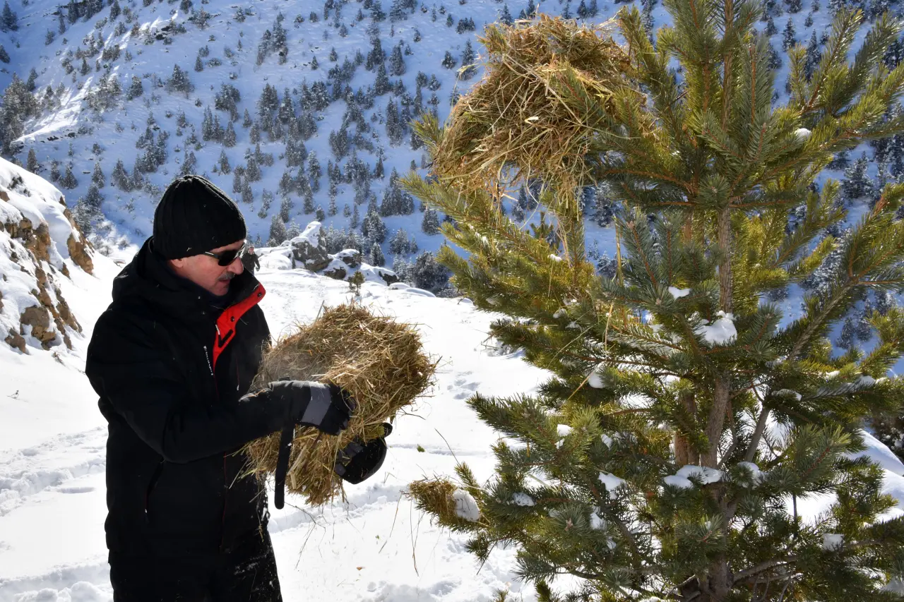Gümüşhane’de aç kalan yaban hayvanları için seferberlik 18
