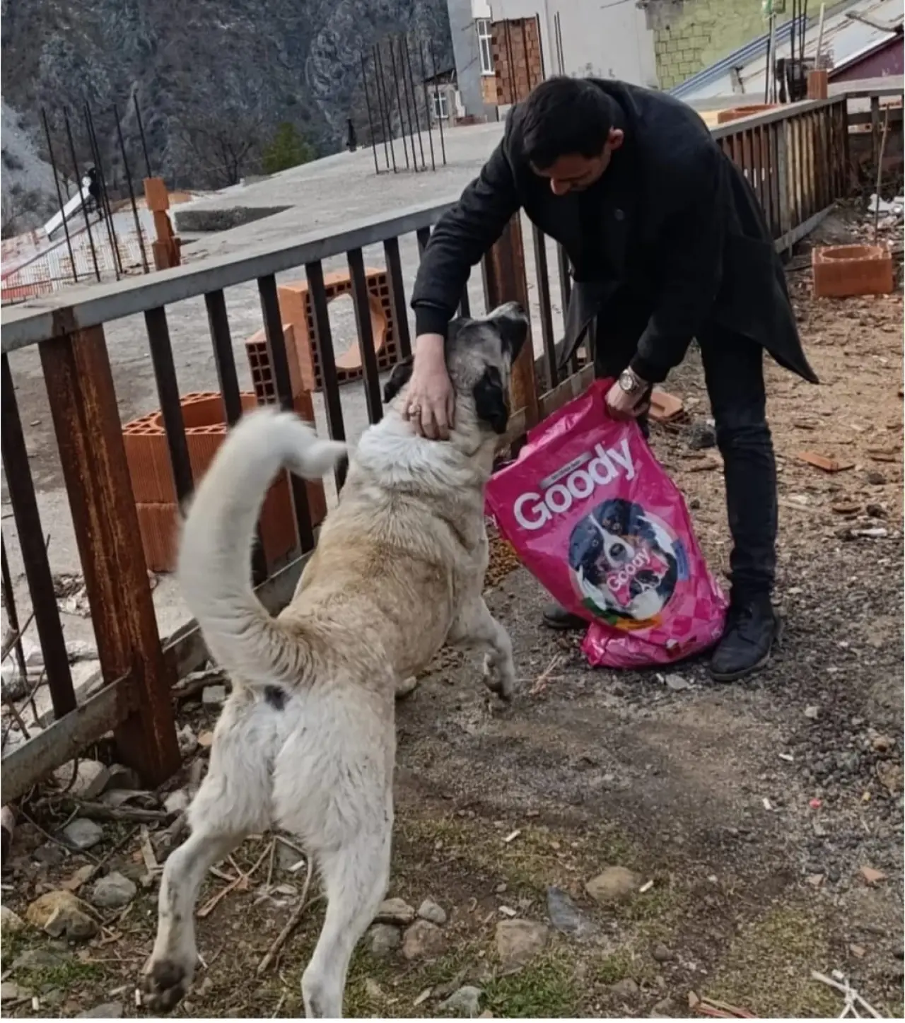 Ülkü Ocaklarından sokak hayvanlarına mama desteği 8