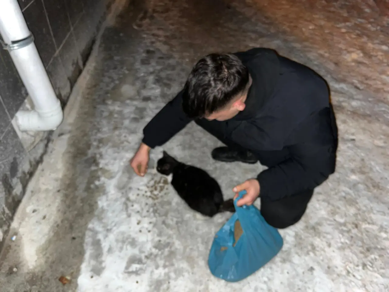 Ülkü Ocaklarından sokak hayvanlarına mama desteği 5