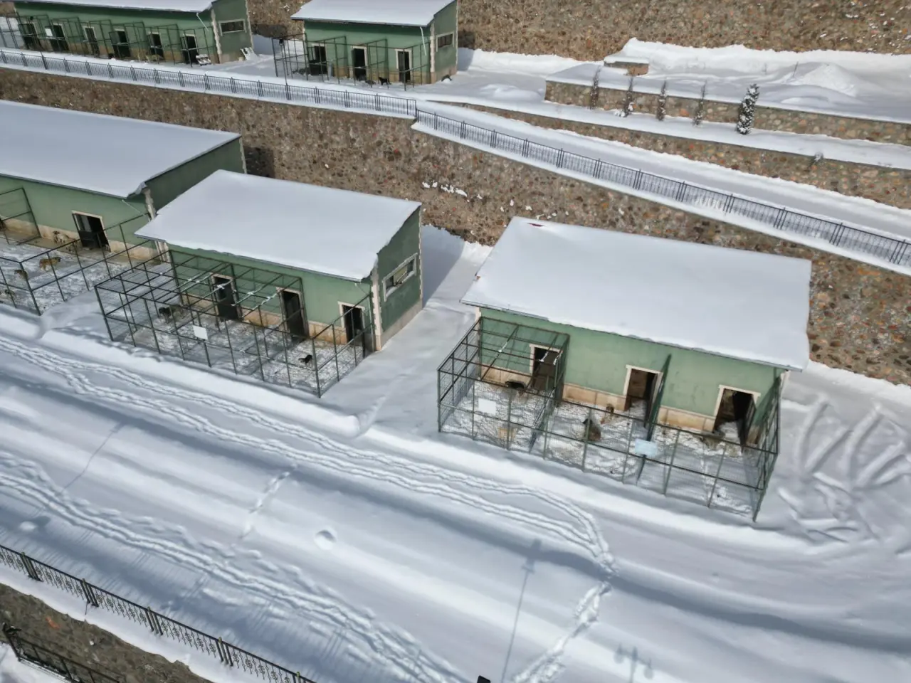Gümüşhane Belediyesi: Barınak görüntüleri güncel değil, iddialar gerçek dışı 5