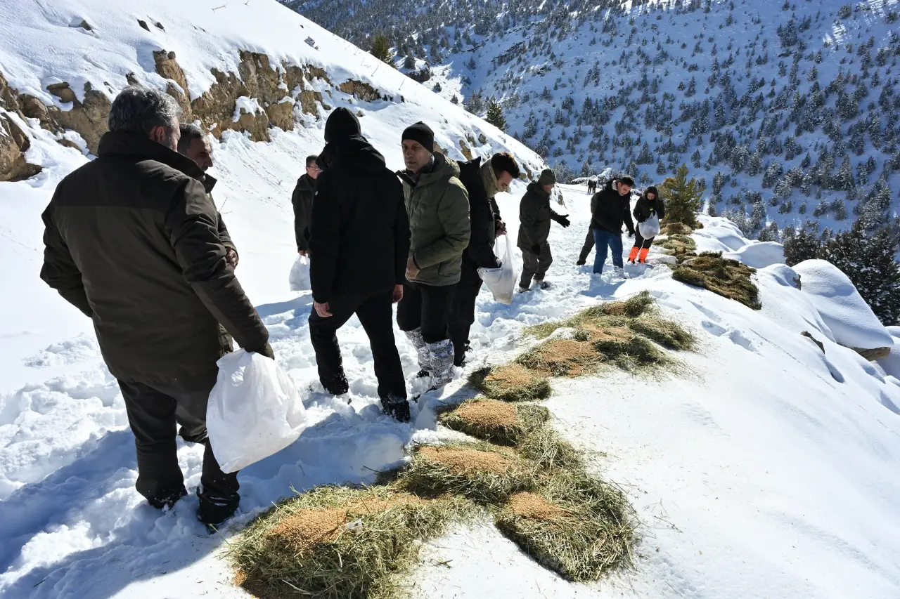 Gümüşhane’de aç kalan yaban hayvanları için seferberlik 37