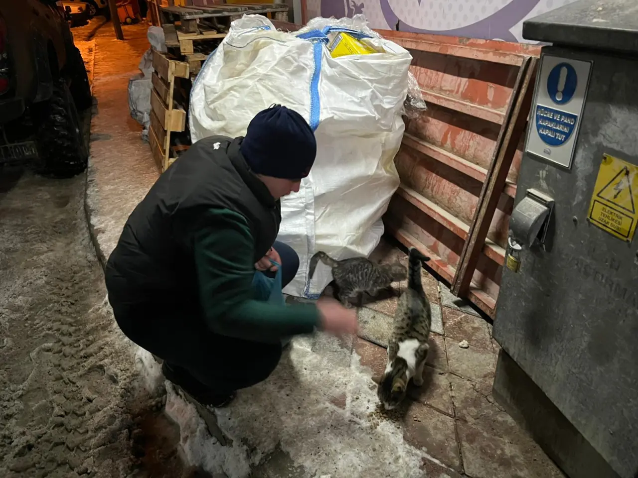 Ülkü Ocaklarından sokak hayvanlarına mama desteği 4